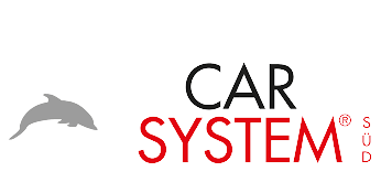 Logo Car System